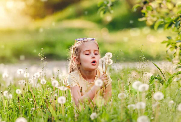 Pretty Small Girl Likes Play Fluffy Dandelions Summer Meadow — Stock Photo, Image