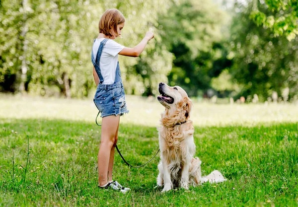 Schattig Klein Meisje Met Mooie Hond Wandelen Zomerweide — Stockfoto
