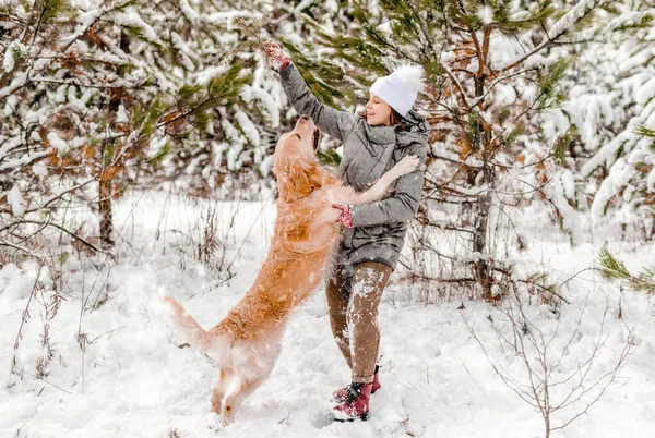 Kışın Karda Golden Retriever Köpeğiyle Oynayan Bir Kız Köpek Evcil — Stok fotoğraf