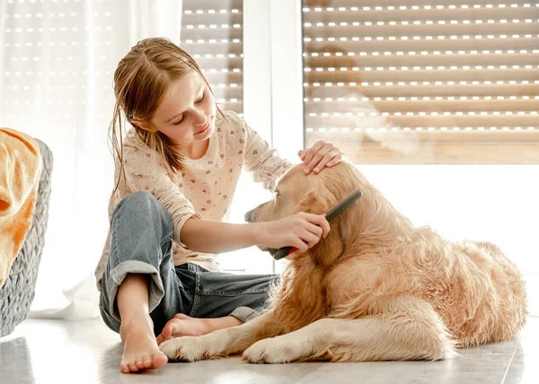 Preteen Girl Brushes Golden Retriever Dog Wet Hair Shower Cleaning — Stock Fotó