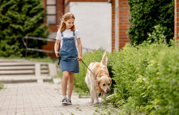 Preteen Girl Wearing Jeans Dress Golden Retriever Dog Walking Outdoors — Stok fotoğraf