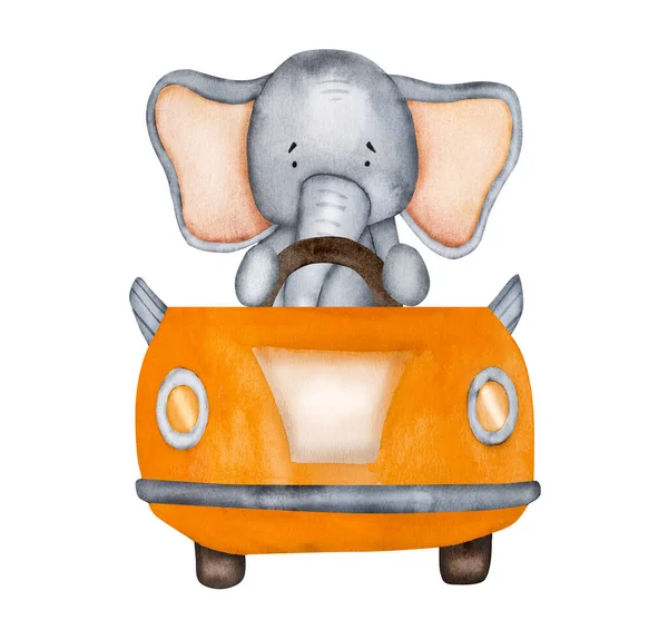 Cute elephant driver in orange car watercolor painting for postcard. Cartoon animal with trunk in automobile aquarelle drawing for children baby decoration