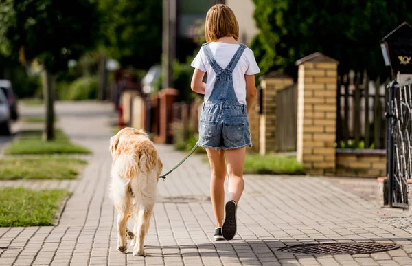 Preteen girl with golden retriever dog walking at street. Pretty child kid with purebred dog labrador in park outdoors. Back view
