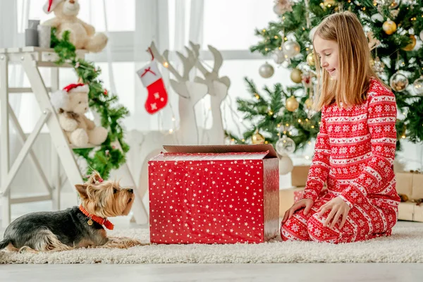 Anak Kecil Membongkar Kotak Hadiah Natal Merah Rumah Dengan Anjing — Stok Foto