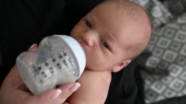 Новорожденный Мальчик Пьет Молоко Бутылки Мать Кормит Грудного Ребенка — стоковое видео