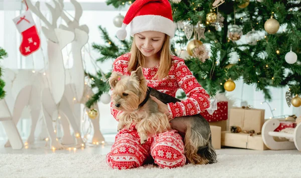 Arka Planda Noel Ağacı Olan Köpekli Kız Çocuğu Yerde Oturuyor — Stok fotoğraf