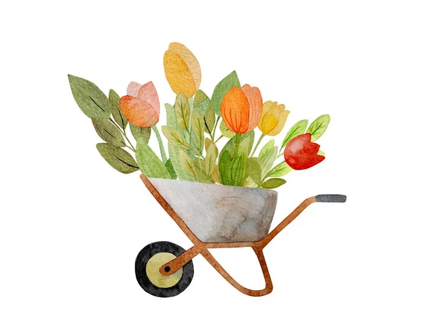 Spring Tulips Bouquet Garden Cart Watercolor Drawing Postcard Beautiful Summer — Zdjęcie stockowe