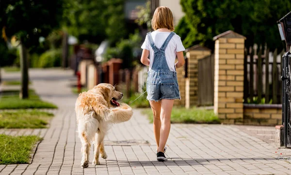 Preteen girl with golden retriever dog walking at street. Pretty child kid with purebred dog labrador in park outdoors. Back view