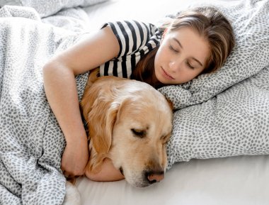 Pretty girl hugging golden retriever dog and sleeping in bed. Female teenager with purebred doggy pet labrador resting napping together