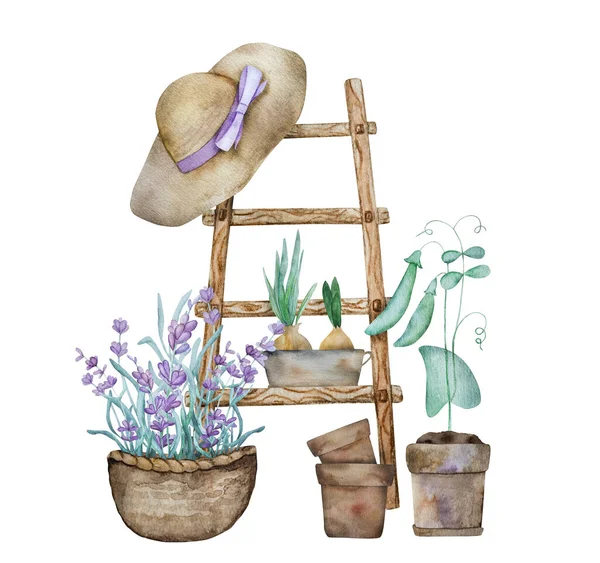 Prachtige Lavendel Provence Boeket Mand Houten Ladder Groene Spruit Aquarel — Stockfoto