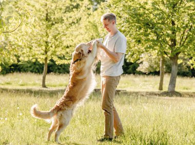 Doğada tasmalı Golden Retriever 'da yürüyen adam