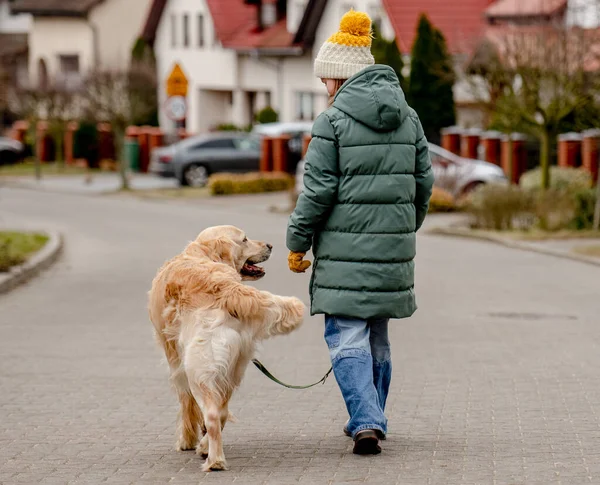 Preteen Child Girl Walking Golden Retriever Dog Autumn City Street — Stok fotoğraf