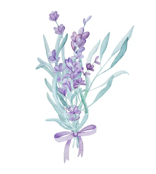 Beautiful Lavender Provence Bouquet Garden Por Watercolor Illustration Purple Blossom — стоковое фото