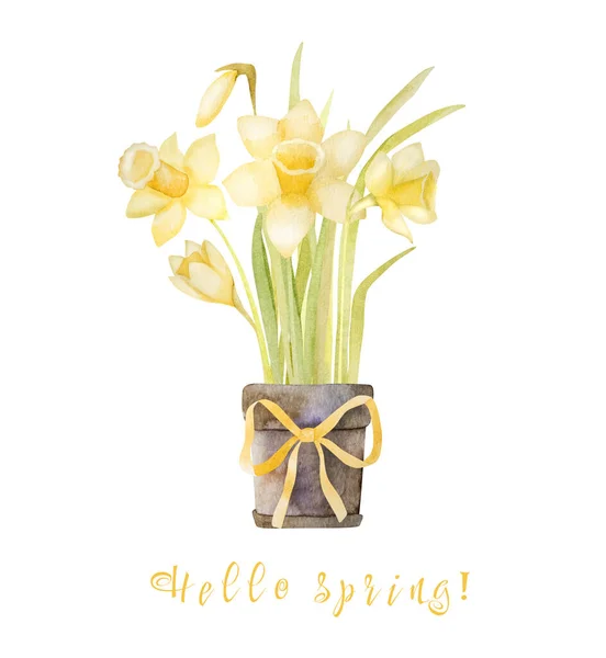 Wiosna Kwiaty Narcyz Bukiet Pot Akwarela Malarstwo Żółty Wielkanoc Kwiat — Zdjęcie stockowe