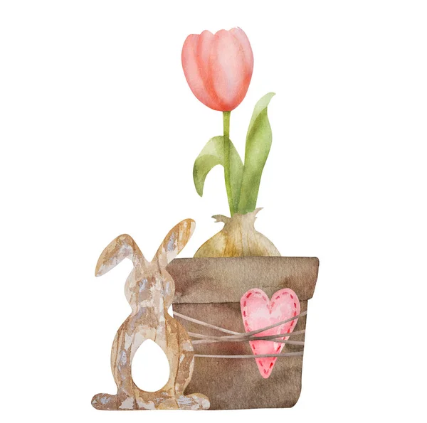 Цветок Розового Тюльпана Растущий Горшке Акварелью Сердца Весенний Цветок Сад — стоковое фото
