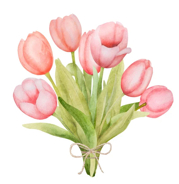 Bonito Rosa Tulipa Flores Buquê Aquarela Paiting Primavera Flor Jardim — Fotografia de Stock