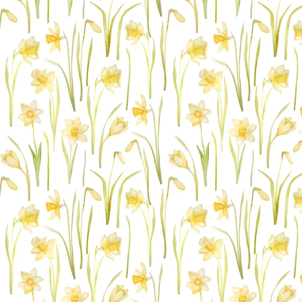 Flores Primavera Narciso Aquarela Padrão Sem Costura Amarelo Páscoa Flor — Fotografia de Stock