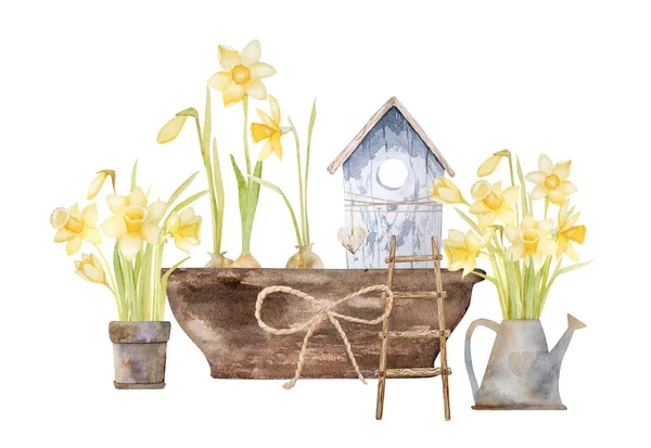 美しい黄色のナルシシズムの花 東の柳や木製の鳥の家の水彩画芸術 春休みの植物 — ストック写真