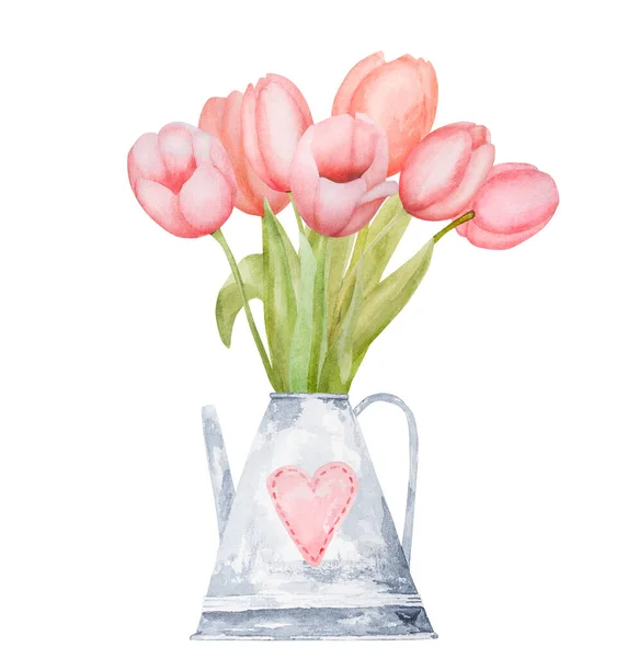 Piękne Różowe Kwiaty Tulipan Podlewaniu Może Malowanie Akwareli Wiosna Kwiat — Zdjęcie stockowe