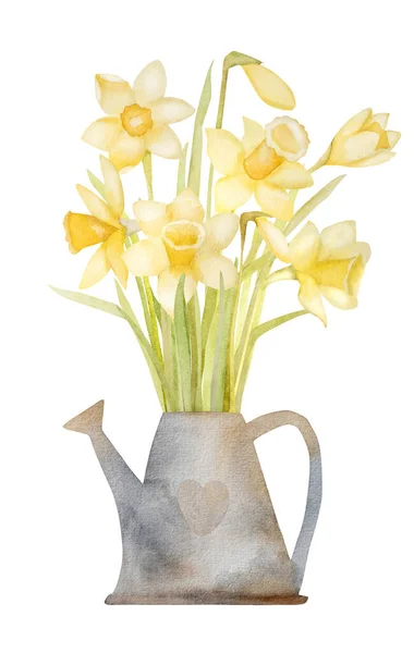 Våren Blommor Narcissus Bukett Vattning Kan Akvarell Målning Gul Påsk — Stockfoto