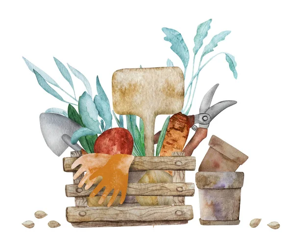 Wooden Box Garden Tools Carrot Onion Harvest Watercolor Painting Rake — ストック写真