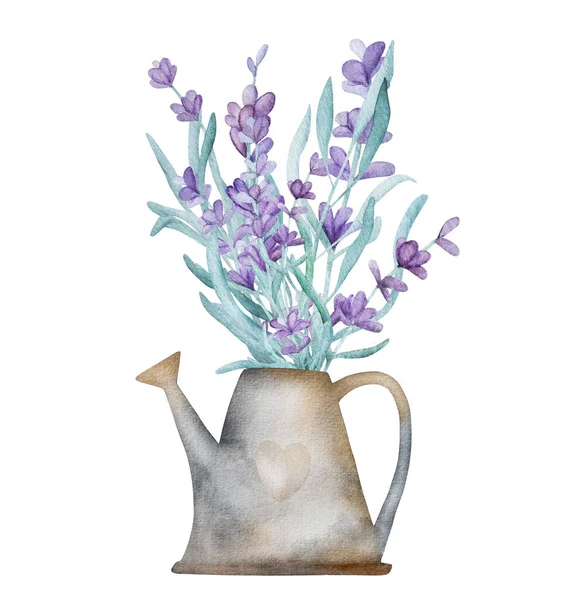 Beautiful Lavender Provence Bouquet Watering Can Watercolor Illustration Postcard Design — Stock Photo, Image