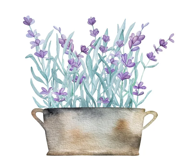 Bellissimo Bouquet Provenienza Lavanda Nel Bacino Del Giardino Illustrazione Acquerello — Foto Stock