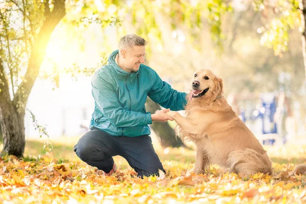 Homem Brincando Com Seu Cão Golden Retriever Parque Outono — Fotografia de Stock
