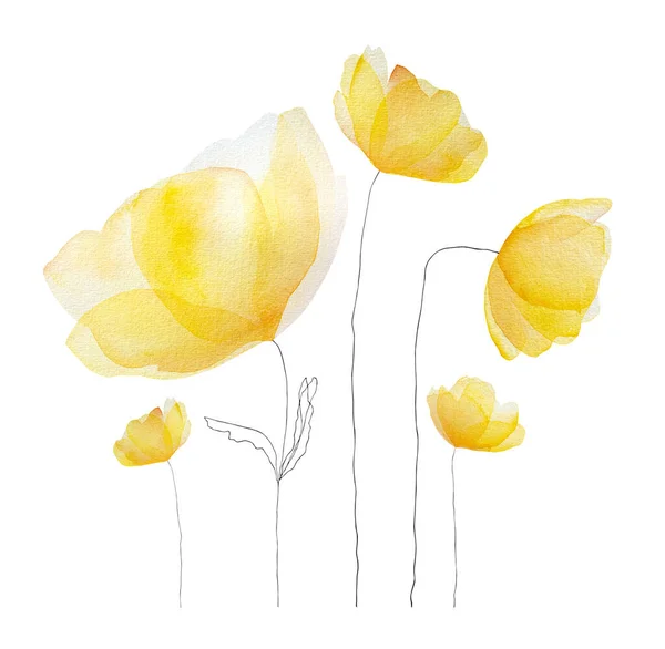 Акварель Весенние Летние Цветы Цветут Нежный Желтый Цветочный Букет Украшения — стоковое фото