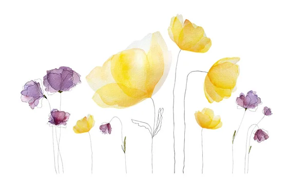 Акварель Весенние Летние Цветы Цветут Желтом Фиолетовом Цветах Нежный Цветочный — стоковое фото