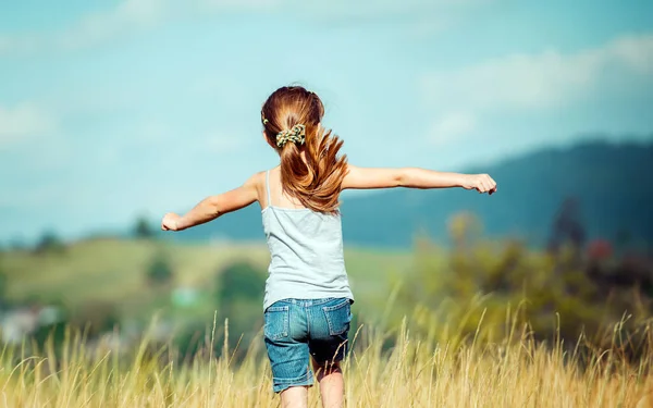 Klein Meisje Loopt Door Een Mooie Weide Bergen Achteraanzicht — Stockfoto
