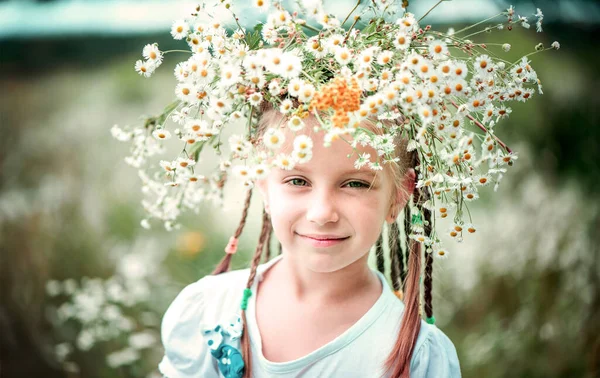 Six Year Old Girl Wreath Her Head Field Chamomiles — Stock Photo, Image