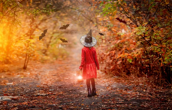 Kleines Mädchen Mit Hexenhut Hält Laterne Während Rückwärts Herbstlichen Wald — Stockfoto