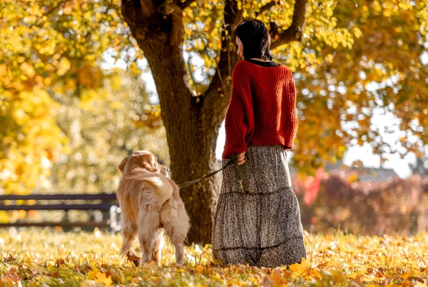 Beautiful girl with golden retriever dog walking in autumn park with yellow leaves. Pretty young woman with purebred doggy labrador at fall season at nature