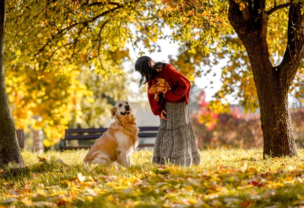 Menina Bonita Com Cão Retriever Dourado Segurando Folha Amarela Mão — Fotografia de Stock