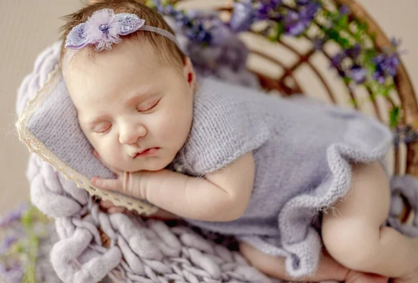 ニットのドレスを着た新生児の女の子と紫色の花で飾られた椅子の上で眠る花輪 かわいい幼児の子供の昼寝 — ストック写真