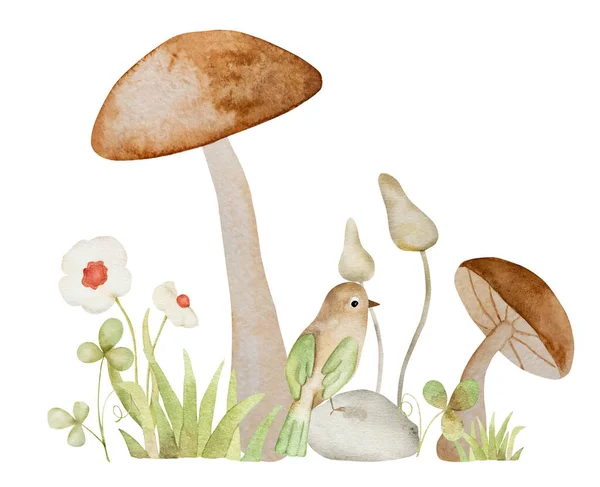 森のキノコと鳥のおとぎ話の水彩画 草や花のアクエラレ描画と漫画の木の真菌性植物 — ストック写真