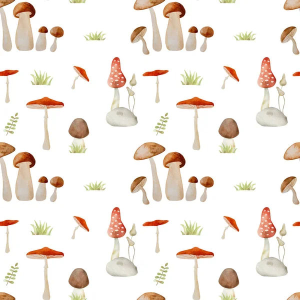 森のキノコ水彩画シームレスなパターン 木の真菌性野菜は アガリックアマリタとシャンテレレのアクエラレの描画を飛ぶ — ストック写真