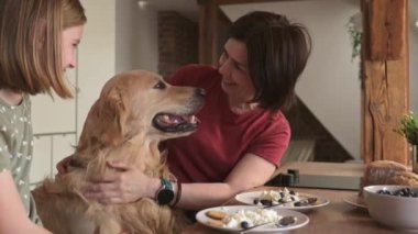 Altın av köpeği olan anne ve kızı kahvaltıyı hazırlıyor ve gülümsüyor. Safkan köpekli genç bir kadın ve kız ailesi kremalı süt yiyor.