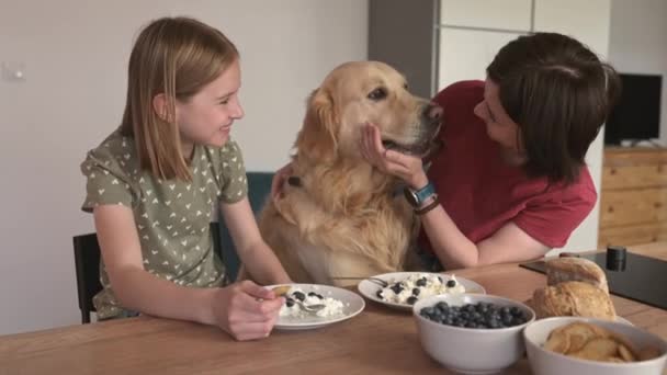 Μητέρα Και Κόρη Σκυλί Golden Retriever Cottage Chease Πρωινό Σίτιση — Αρχείο Βίντεο