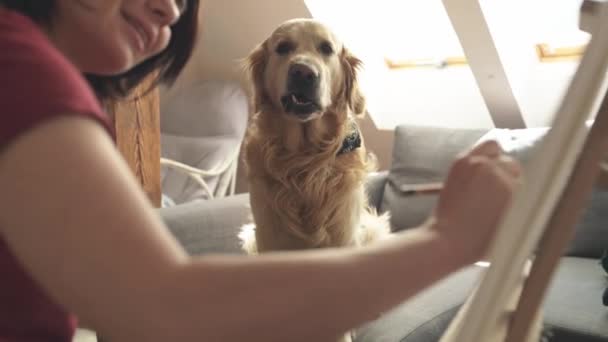 Snygg Flicka Konstnär Rita Skiss Med Golden Retriever Hund Med — Stockvideo