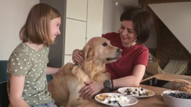 Matka Córka Golden Retriever Pies Chease Domek Śniadanie Karmienie Zwierząt — Wideo stockowe