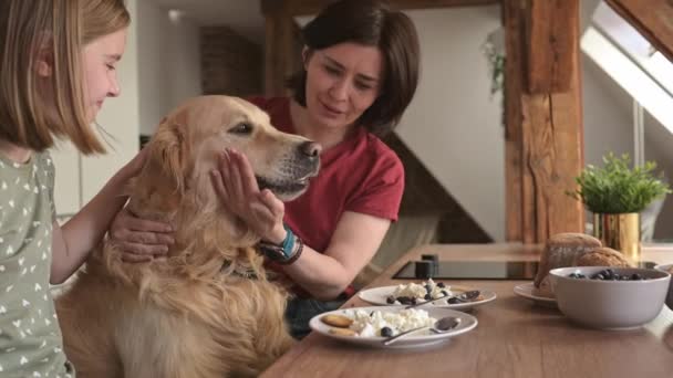 Mor Och Dotter Med Golden Retriever Hund Med Stuga Chease — Stockvideo
