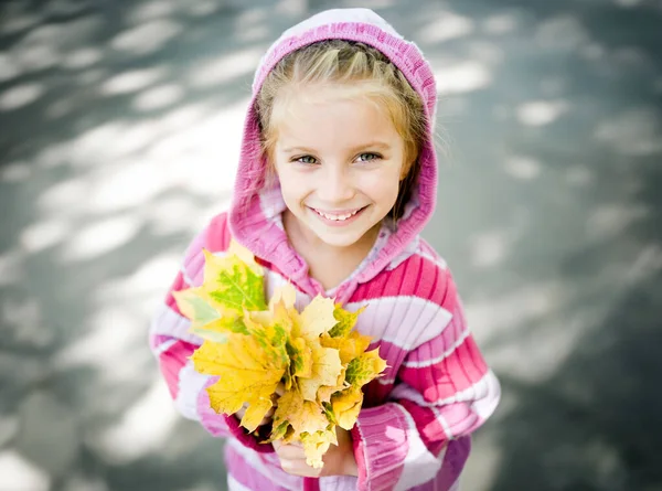 笑可爱的女孩 秋天的肖像 — 图库照片