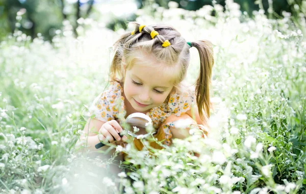 Büyüteç Ile Sevimli Küçük Kız Çiçek Görünüyor — Stok fotoğraf