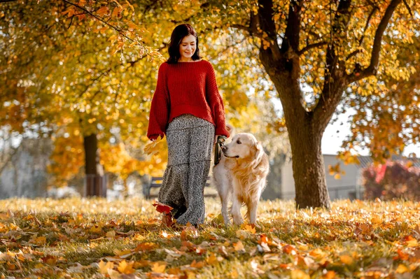 Menina Bonita Com Cão Retriever Dourado Parque Outono Com Folhas — Fotografia de Stock