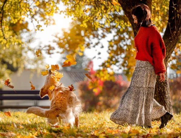 Gadis Cantik Dengan Anjing Golden Retriever Memegang Daun Kuning Tangan — Stok Foto