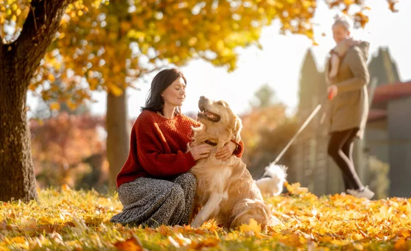 Piękna Dziewczyna Przytulająca Psa Golden Retriever Jesiennym Parku Siedząc Żółtych — Zdjęcie stockowe