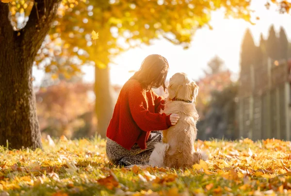 黄色の葉の中に座って太陽を見て秋の公園で黄金のレトリバー犬を抱きしめる美しい女の子 可愛いです若いです女性とともに純血犬ラブラドールで秋の季節に自然 — ストック写真