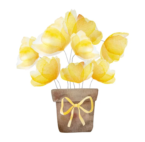 水彩缤纷的春天 夏日的花朵在乡村的花园盆中绽放 供装饰及明信片设计用的淡黄花束 — 图库照片